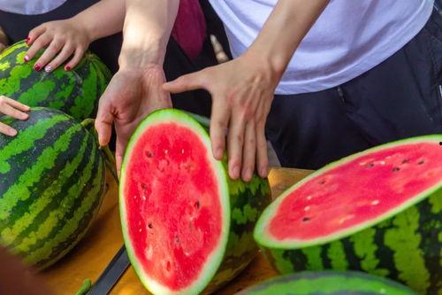 剪子包袱锤免费吃瓜,剪子包袱锤带你领略趣味无限 第2张 剪子包袱锤免费吃瓜,剪子包袱锤带你领略趣味无限 第2张